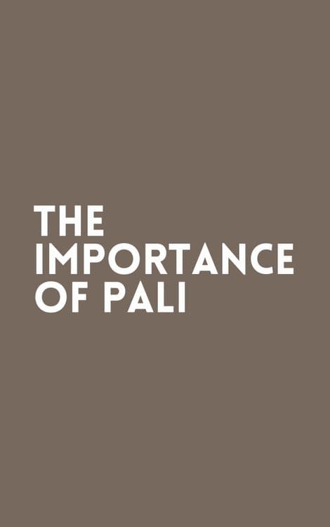 The Importance of Pali