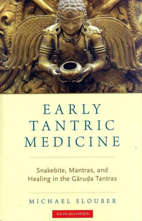 Early Tantric Medicine with Michael Slouber